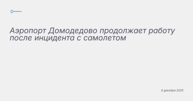 Изображение к новости: Аэропорт Домодедово продолжает работу после инциде