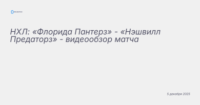 Изображение к новости: НХЛ: «Флорида Пантерз» - «Нэшвилл Предаторз» - вид