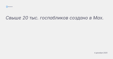 Изображение к новости: Свыше 20 тыс. госпабликов создано в Мах.