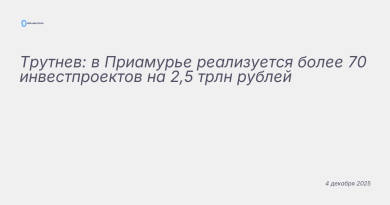 Изображение к новости: Трутнев: в Приамурье реализуется более 70 инвестпр