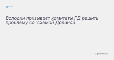 Иллюстрация к новости: Володин призывает комитеты ГД решить проблему со '