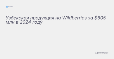 Иллюстрация к новости: Узбекская продукция на Wildberries за $605 млн в 2