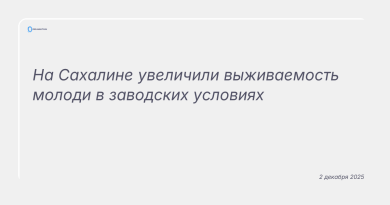 Изображение к новости: На Сахалине увеличили выживаемость молоди в заводских условиях
