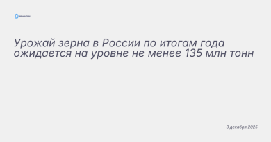Иллюстрация к новости: Урожай зерна в России по итогам года ожидается на